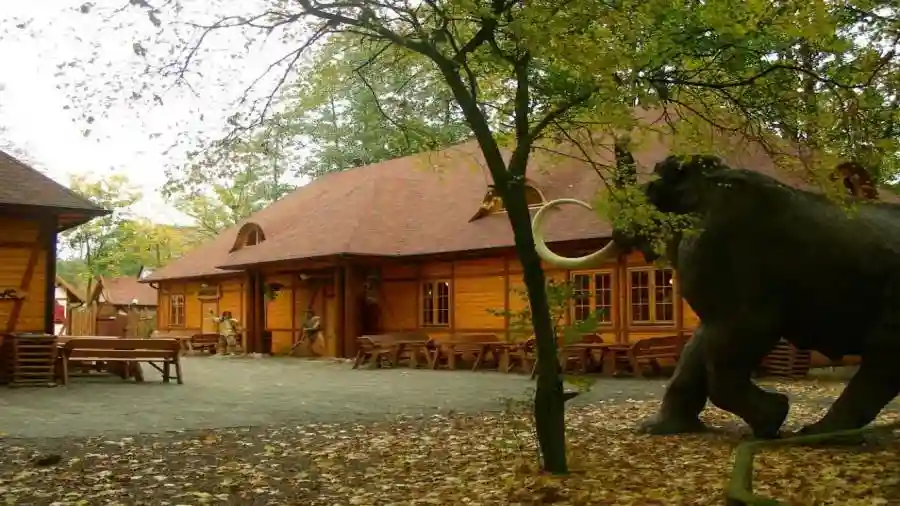Park6